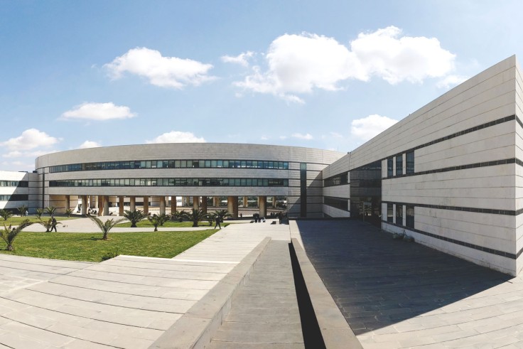 Arab International University/AIU
