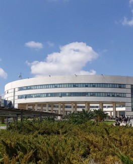 Arab International University-AIU