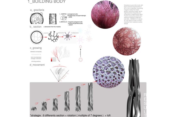 Studio genetic architectural design at ESARQ