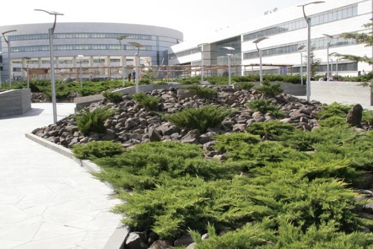 Arab International University/AIU