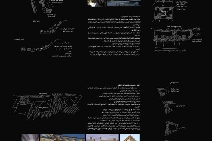 Competition of Governmental Complex