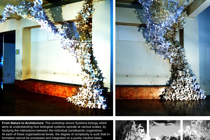 Creative Art In Architecture Workshop-December 2013