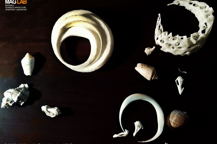 MAGLAB Wearable 3D Printed jewelry | 2015